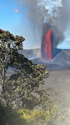 Ohia Lehua